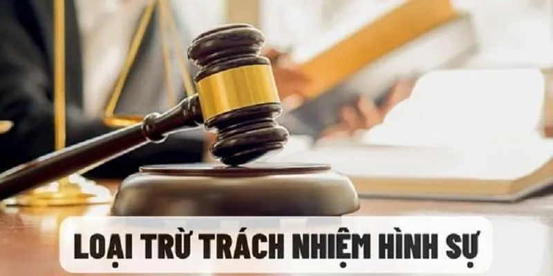 Trách nhiệm của hội viên chính thức